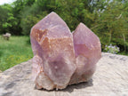 Natural Zambian Amethyst Quartz Clusters x 2 From Mumbwa, Zambia - TopRock
