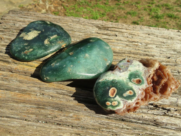 Polished XX Rare Chrome/Emerald Chrysoprase Free Forms with Vugs x 6 From Zimbabwe - TopRock