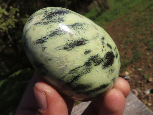 Polished Serpentine Leopard Stone Eggs & Free Forms  x 12 From Zimbabwe - TopRock