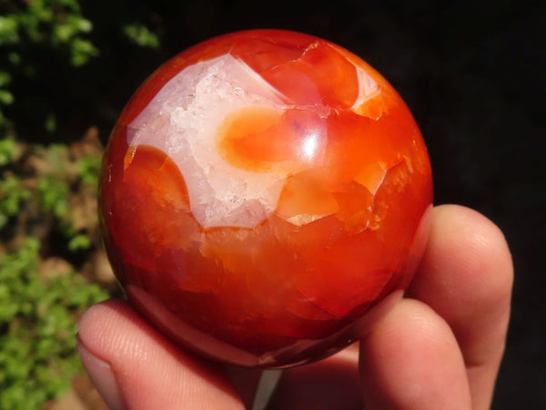 Polished Carnelian Agate Spheres  x 6 From Madagascar - Toprock Gemstones and Minerals 