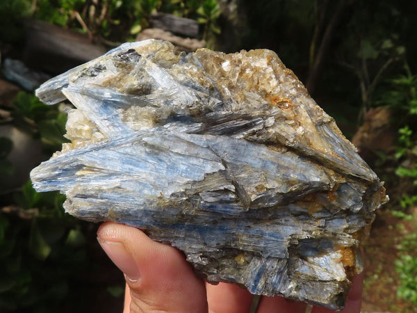 Natural Blue Kyanite Crystals In Mica & Quartz Matrix  x 6 From Zimbabwe - Toprock Gemstones and Minerals 