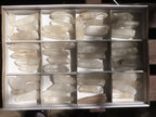 Natural Single Clear Quartz Crystals  x 48 From Madagascar - TopRock
