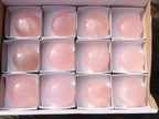 Polished Gemmy Pink Rose Quartz Palm Stones  x 12 From Madagascar - Toprock Gemstones and Minerals 