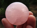 Polished Gemmy Pink Rose Quartz Palm Stones  x 12 From Madagascar - Toprock Gemstones and Minerals 