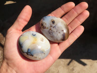 Polished Stunning Selection Of Agate Palm Stones x 12 From Madagascar - Toprock Gemstones and Minerals 