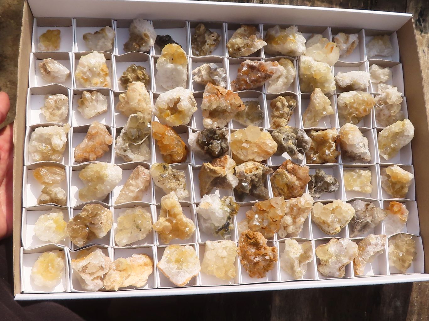 Natural Mini Golden Limonite / Lemonite Quartz Specimens  x 70 From Zambia - Toprock Gemstones and Minerals 