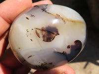 Polished Stunning Selection Of Agate Palm Stones x 12 From Madagascar - Toprock Gemstones and Minerals 