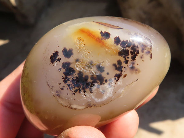Polished Stunning Selection Of Agate Palm Stones x 12 From Madagascar - Toprock Gemstones and Minerals 