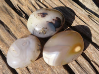 Polished Stunning Selection Of Agate Palm Stones x 12 From Madagascar - Toprock Gemstones and Minerals 