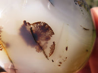 Polished Stunning Selection Of Agate Palm Stones x 12 From Madagascar - Toprock Gemstones and Minerals 