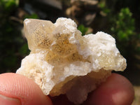 Natural Mini Golden Limonite / Lemonite Quartz Specimens  x 70 From Zambia - Toprock Gemstones and Minerals 