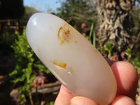 Polished Stunning Selection Of Agate Palm Stones x 12 From Madagascar - Toprock Gemstones and Minerals 