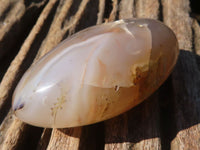 Polished Stunning Selection Of Agate Palm Stones x 12 From Madagascar - Toprock Gemstones and Minerals 