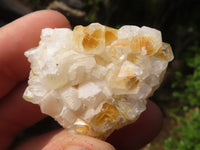 Natural Mini Golden Limonite / Lemonite Quartz Specimens  x 70 From Zambia - Toprock Gemstones and Minerals 