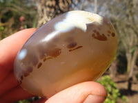 Polished Stunning Selection Of Agate Palm Stones x 12 From Madagascar - Toprock Gemstones and Minerals 