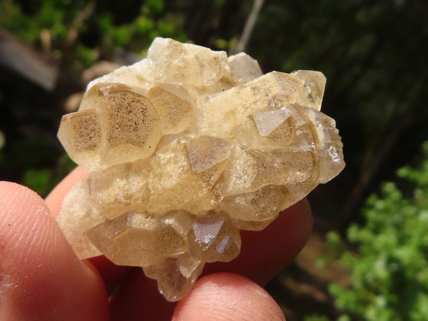 Natural Mini Golden Limonite / Lemonite Quartz Specimens  x 70 From Zambia - Toprock Gemstones and Minerals 