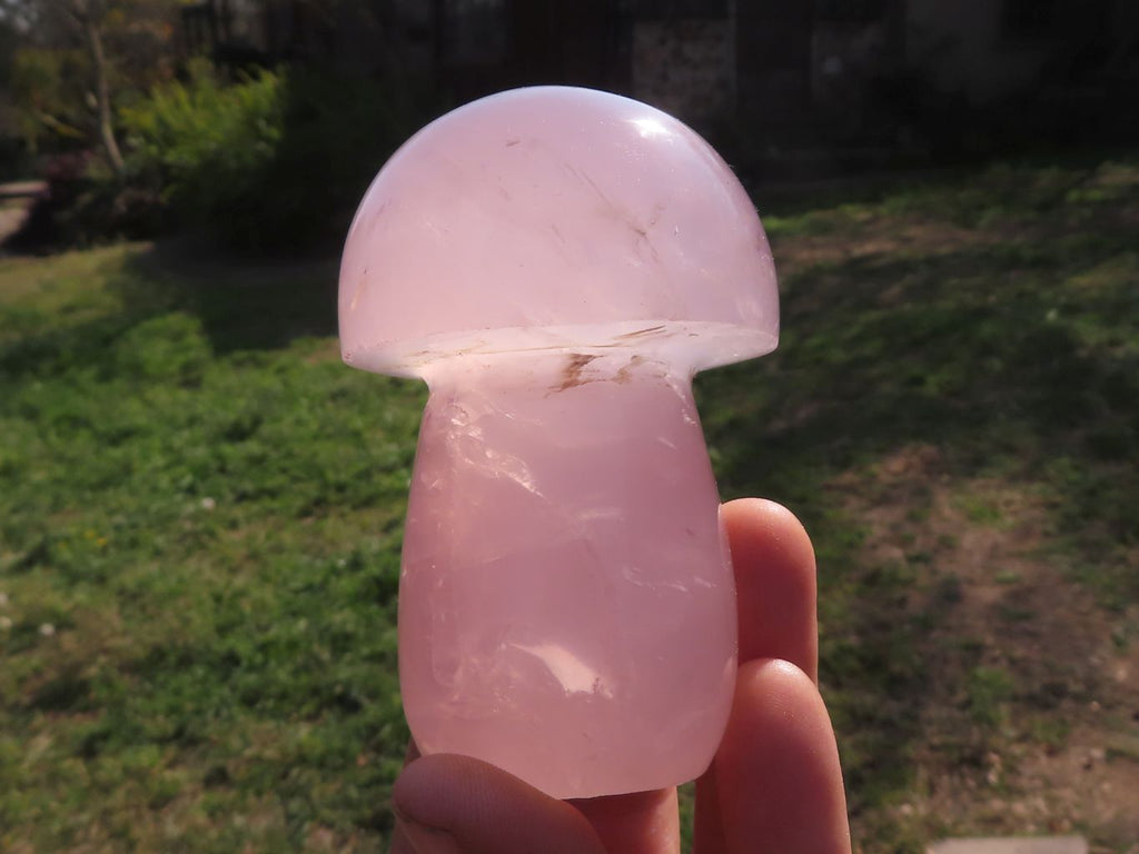 Polished Gemmy Pink Rose Quartz Mushrooms  x 5 From Madagascar - TopRock