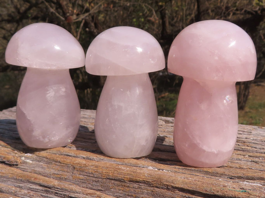 Polished Gemmy Pink Rose Quartz Mushrooms  x 5 From Madagascar - TopRock