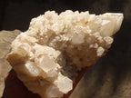 Natural Pineapple / Candle Quartz Clusters  x 2 From Madagascar - Toprock Gemstones and Minerals 