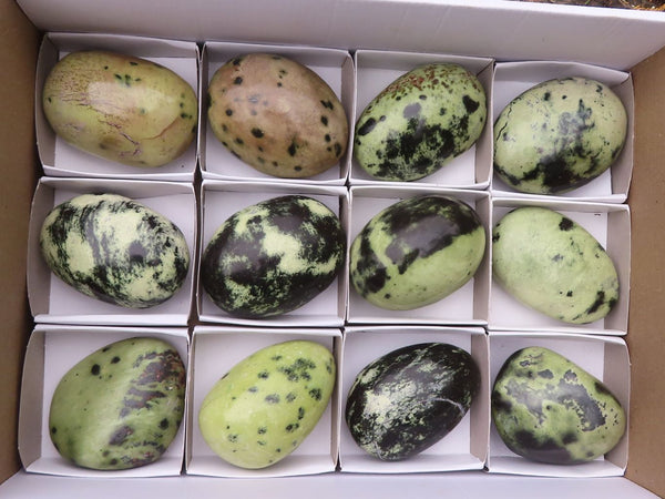 Polished Green Leopard Stone Gallets  x 12 From Zimbabwe - Toprock Gemstones and Minerals 