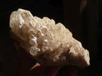 Natural Pineapple / Candle Quartz Clusters  x 2 From Madagascar - Toprock Gemstones and Minerals 