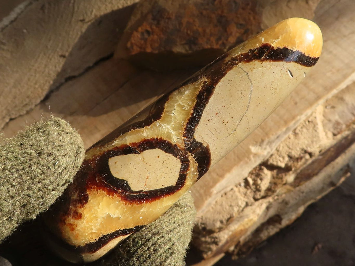 Polished Septerye Massage Wands x 5 From Madagascar - Toprock Gemstones and Minerals 