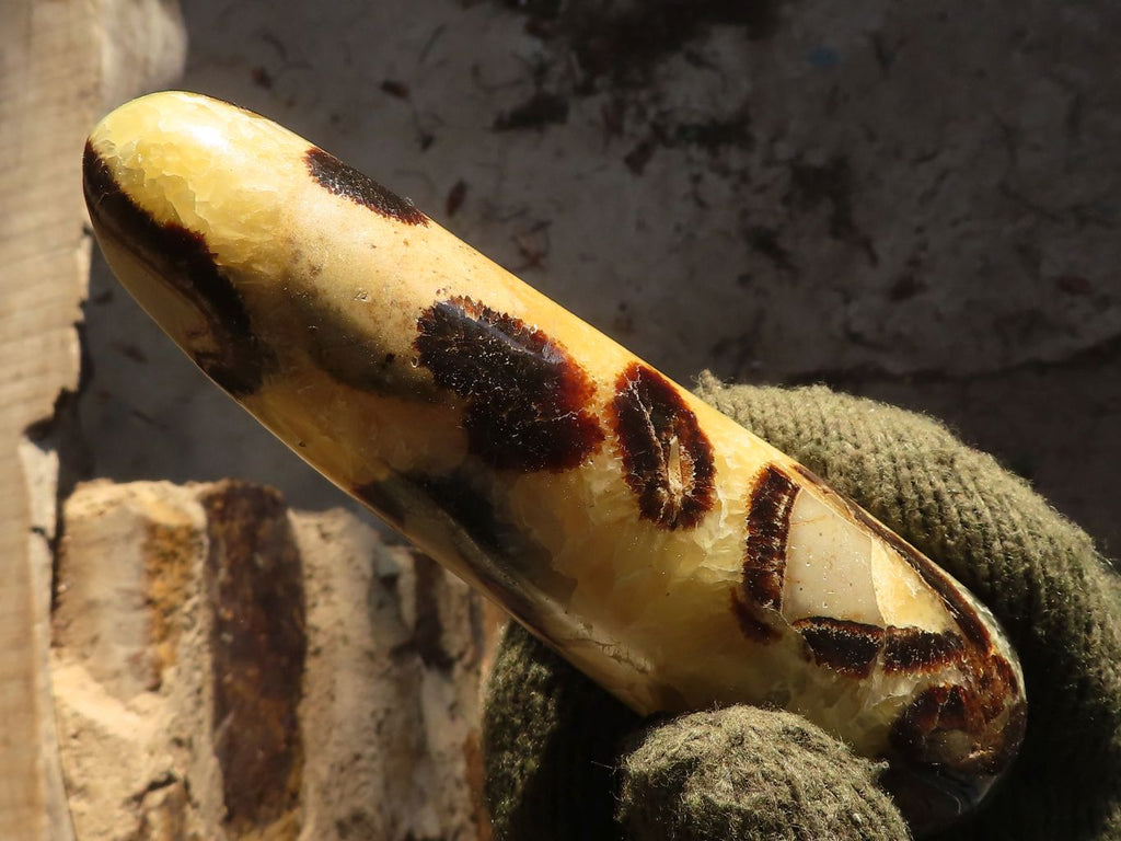 Polished Septerye Massage Wands x 5 From Madagascar - Toprock Gemstones and Minerals 