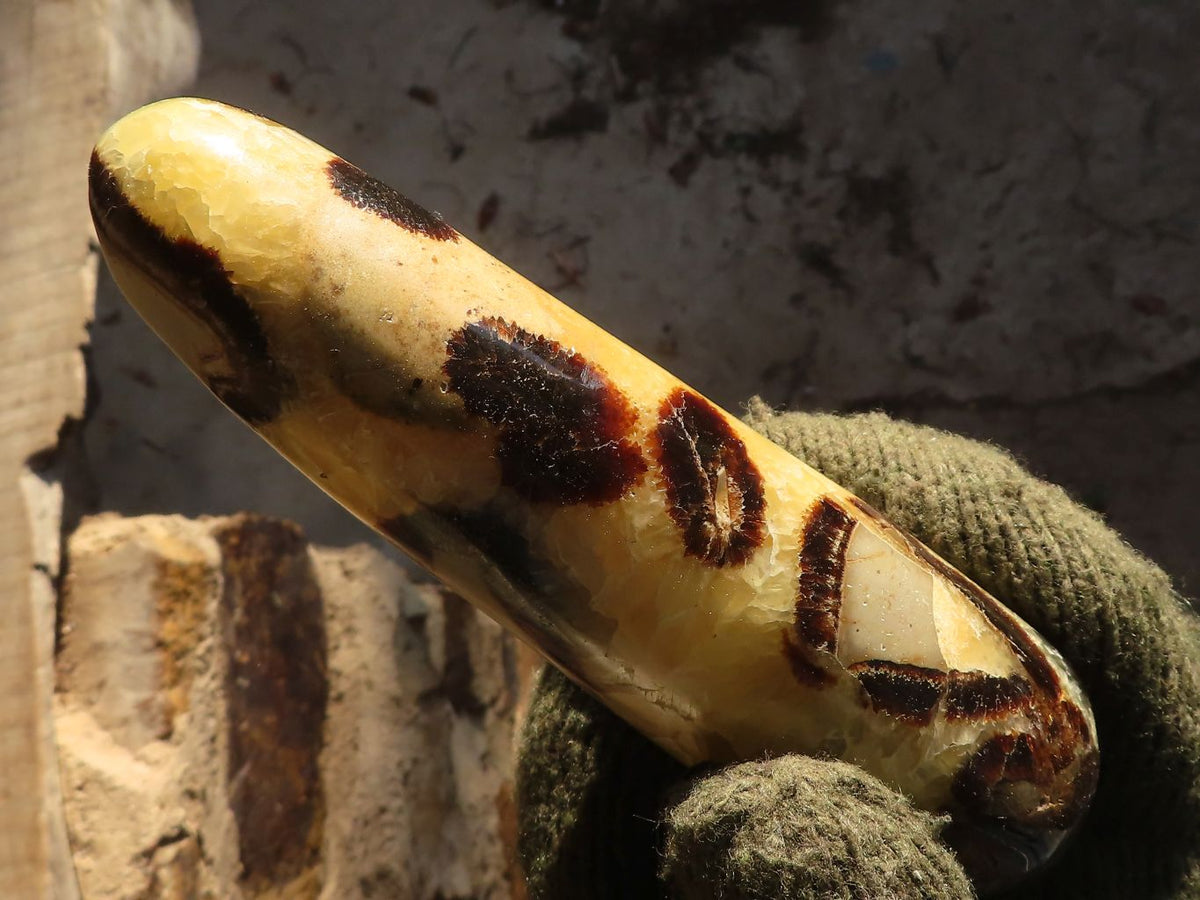 Polished Septerye Massage Wands x 5 From Madagascar - Toprock Gemstones and Minerals 