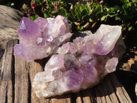 Natural Jacaranda Amethyst Clusters x 2 From Zambia - Toprock Gemstones and Minerals 