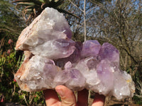 Natural Jacaranda Amethyst Clusters x 2 From Zambia - Toprock Gemstones and Minerals 