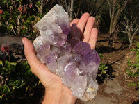 Natural Jacaranda Amethyst Clusters x 2 From Zambia - Toprock Gemstones and Minerals 