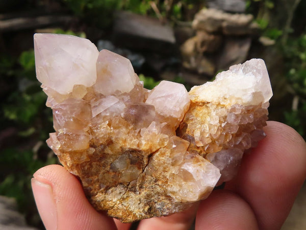 Natural Small Mixed Spirit Quartz Specimens  x 46 From Boekenhouthoek, South Africa - Toprock Gemstones and Minerals 