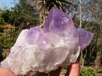 Natural Jacaranda Amethyst Clusters x 2 From Zambia - Toprock Gemstones and Minerals 