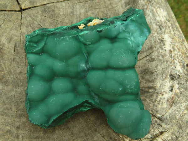 Natural Botryoidal Malachite Specimens x 3 From Kambove, Congo - TopRock