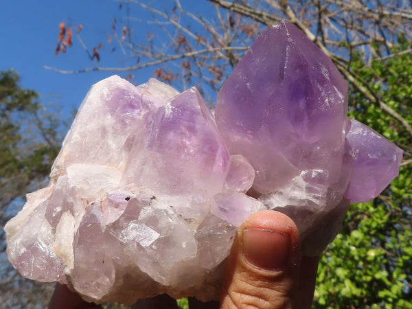 Natural Jacaranda Amethyst Clusters x 2 From Zambia - Toprock Gemstones and Minerals 