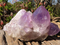 Natural Jacaranda Amethyst Clusters x 2 From Zambia - Toprock Gemstones and Minerals 