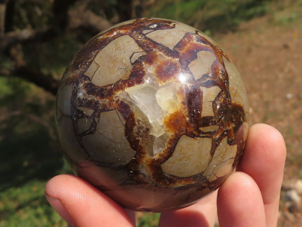 Polished Septerye (Calcite & Aragonite) Spheres  x 4 From Mahajanga, Madagascar - TopRock