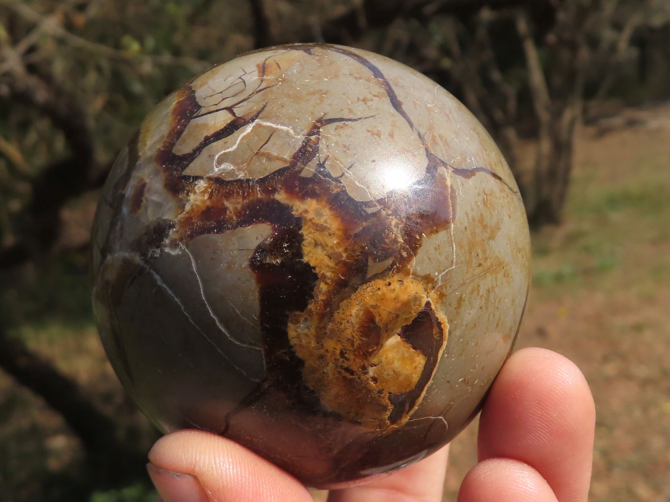 Polished Septerye (Calcite & Aragonite) Spheres  x 4 From Mahajanga, Madagascar - TopRock