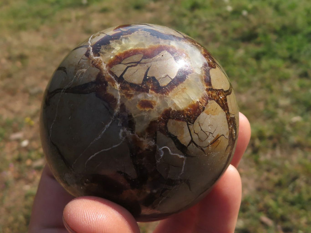 Polished Septerye (Calcite & Aragonite) Spheres  x 4 From Mahajanga, Madagascar - TopRock