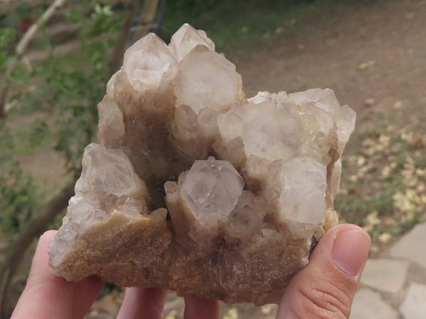 Natural Classic Cascading Smokey Phantom Quartz Clusters x 5 From Luena, Congo - TopRock