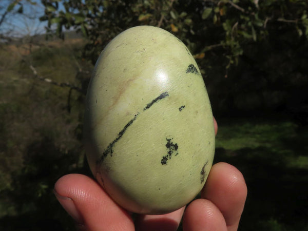 Polished Serpentine Leopard Stone Eggs & Free Forms  x 6 From Zimbabwe - TopRock