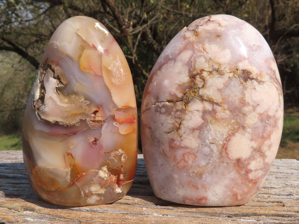 Polished Gorgeous Pink Coral Flower Agate Standing Free Forms  x 2 From Antsahalova, Madagascar - TopRock