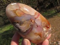 Polished Gorgeous Pink Coral Flower Agate Standing Free Forms  x 2 From Antsahalova, Madagascar - TopRock