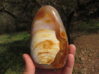 Polished Gorgeous Pink Coral Flower Agate Standing Free Forms  x 2 From Antsahalova, Madagascar - TopRock