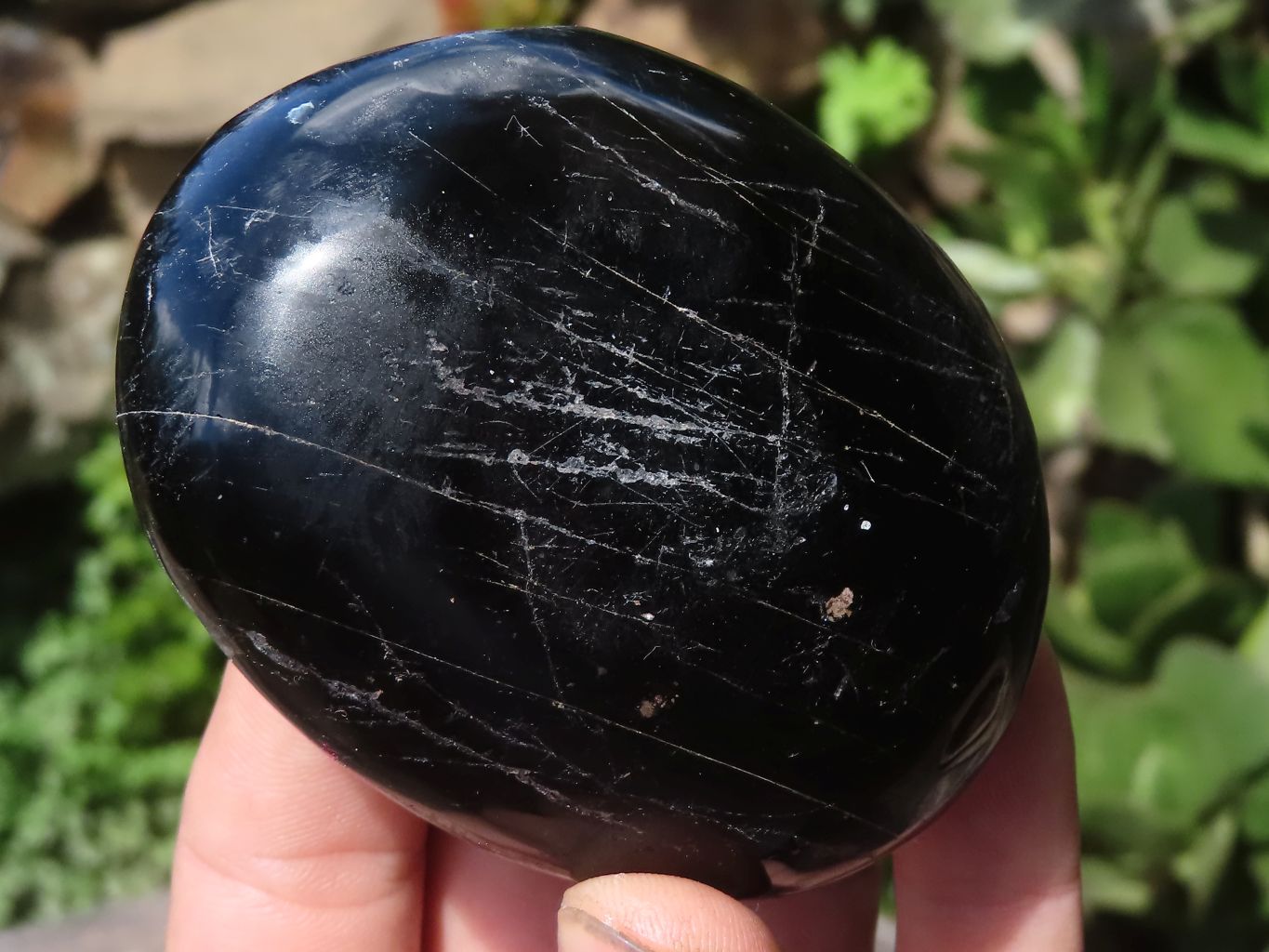 Polished Mixed Selection Of Retail Items  x 6 From Southern Africa - TopRock