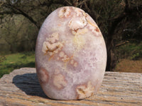 Polished Gorgeous Pink Coral Flower Agate Standing Free Forms  x 2 From Antsahalova, Madagascar - TopRock