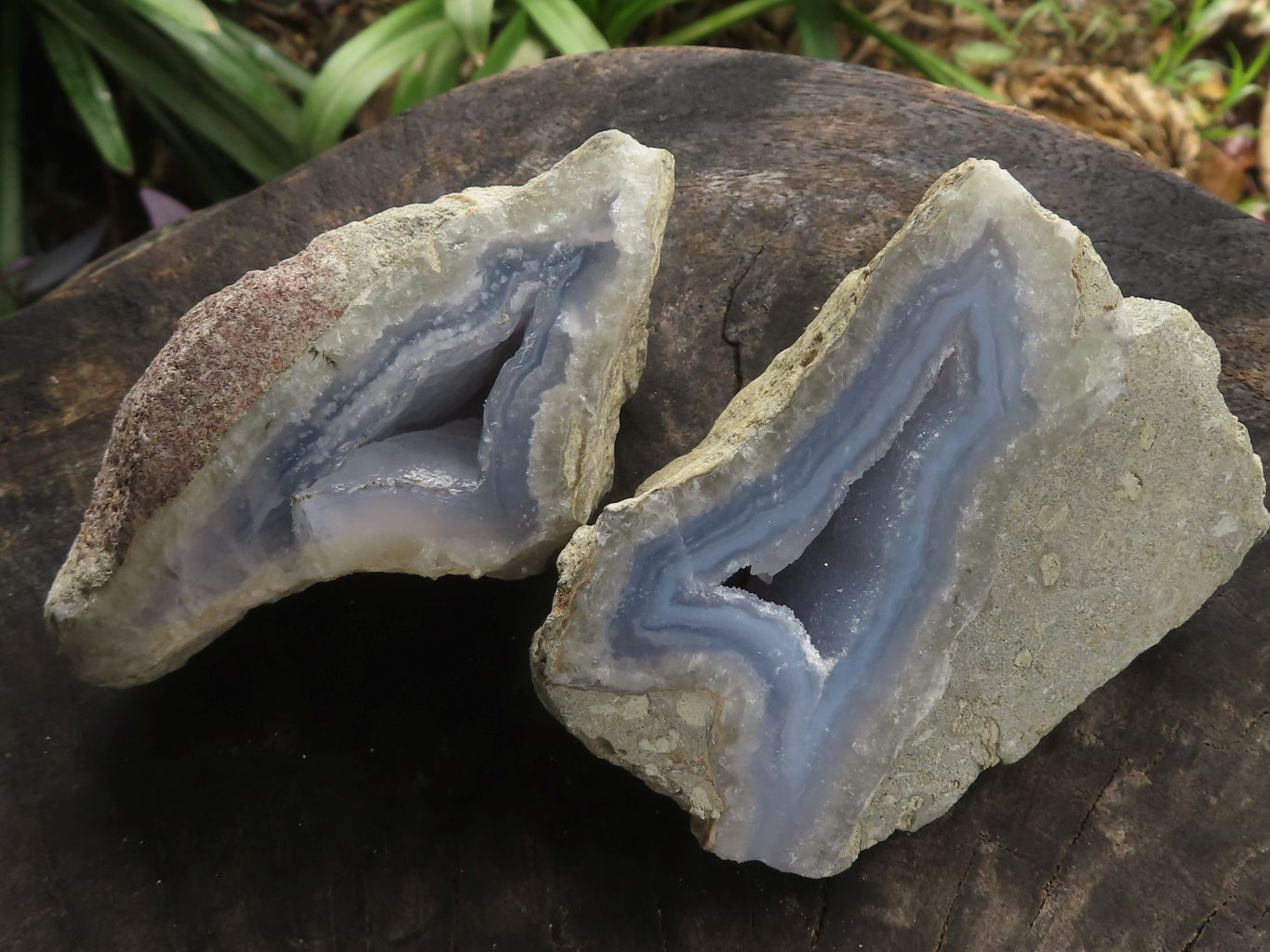 Polished One Side Polished Blue Lace Agate Specimens  x 6 From Malawi - TopRock