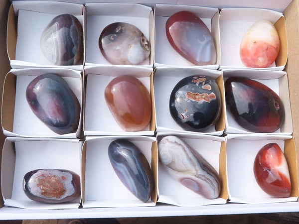 Polished Stunning River Agate Palm Stones  x 12 From Zimbabwe - Toprock Gemstones and Minerals 