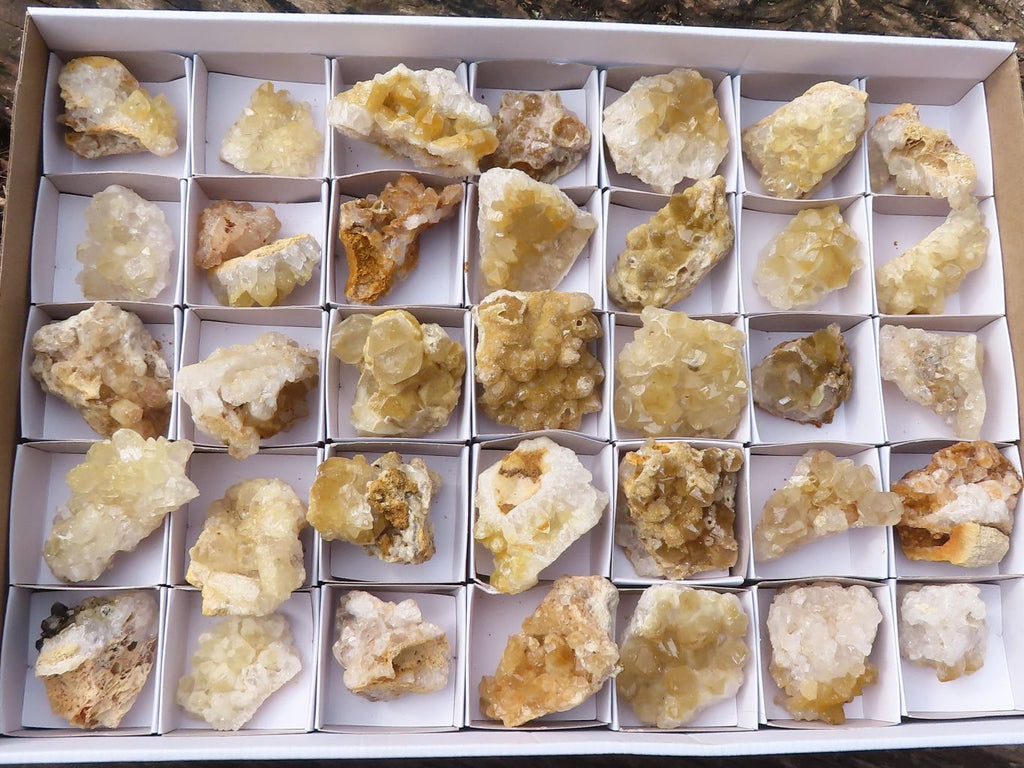 Natural Small Golden Lemonite / Limonite Quartz Clusters  x 36 From Zambia - Toprock Gemstones and Minerals 