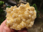Natural Small Golden Lemonite / Limonite Quartz Clusters  x 36 From Zambia - Toprock Gemstones and Minerals 